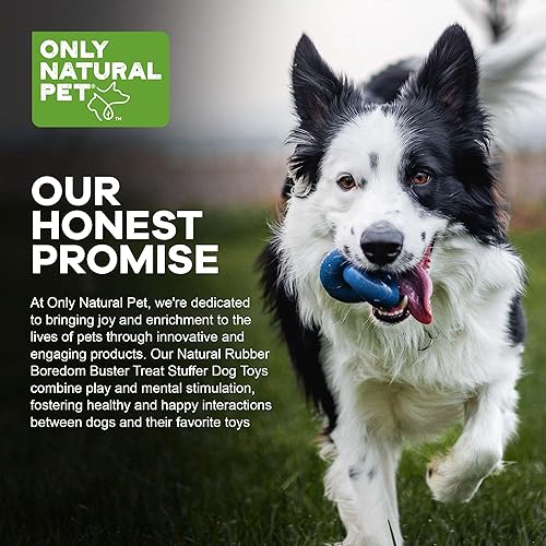 Miniatura 5 de Only Natural Pet Juguetes para perros de goma aburrido Buster - Dispensador interactivo rellenable duradero para cachorros, mediano, grande, XS,