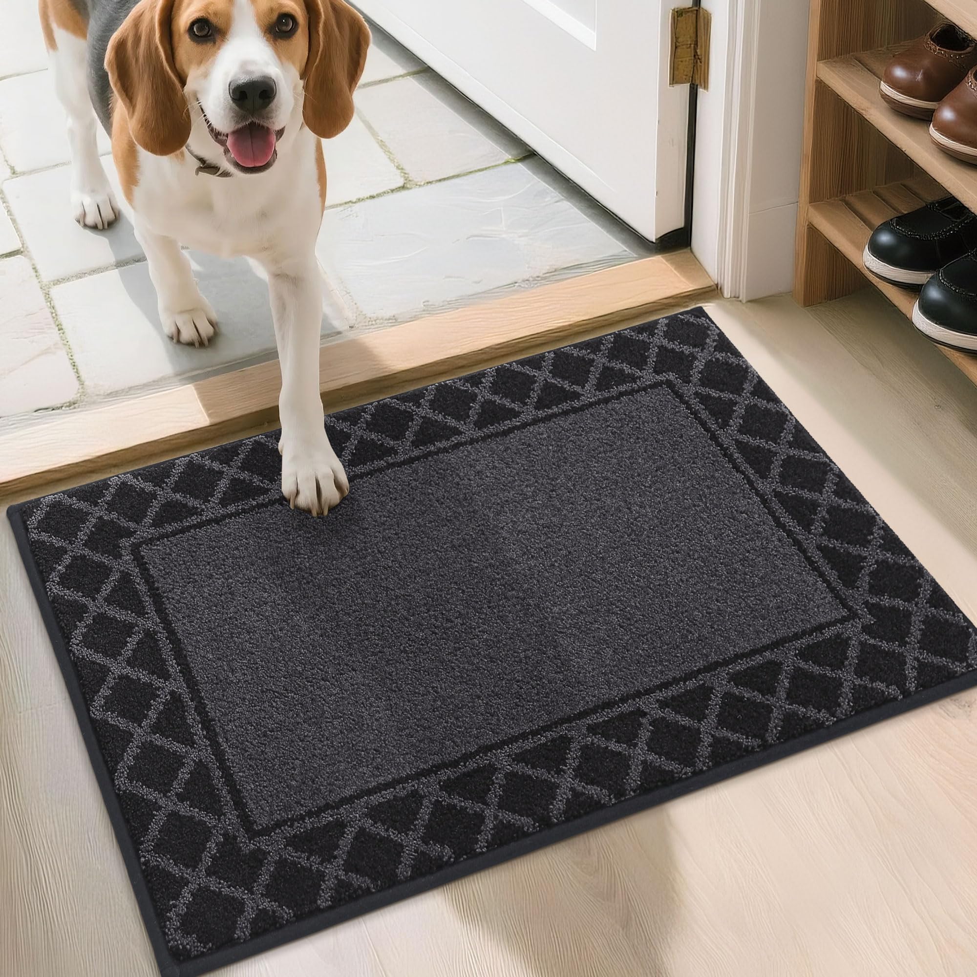 BEQHAUSE Fußabtreter Innen, 50 * 80 cm Fußmatte, Schmutzfangmatte Waschbar, TPR rutschfest Fußabtreter Innen Und für Eingänge, Haustüren und Flure, Schwarze