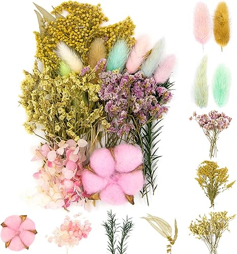 Vignee Flores de hojas prensadas secas reales, múltiples flores prensadas coloridas para manualidades, resina, joyería, manualidades, manualidades,