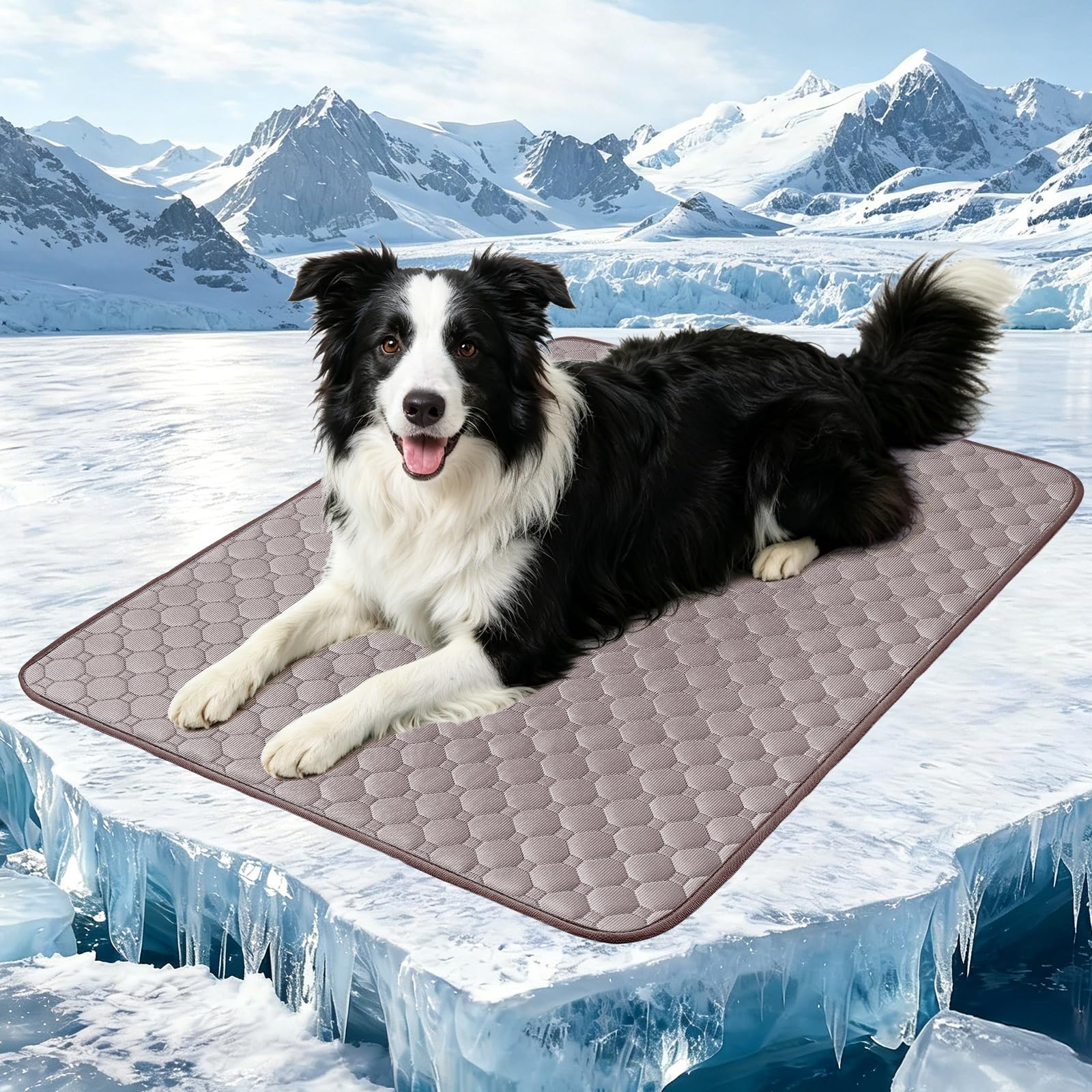 Poeruse Dog Cooling Mat, Pet Cooling Pad, self Cooling pet mat, Ice Silk Cool Mats 60x45cm for Dogs Cats Bed Mattress Pad