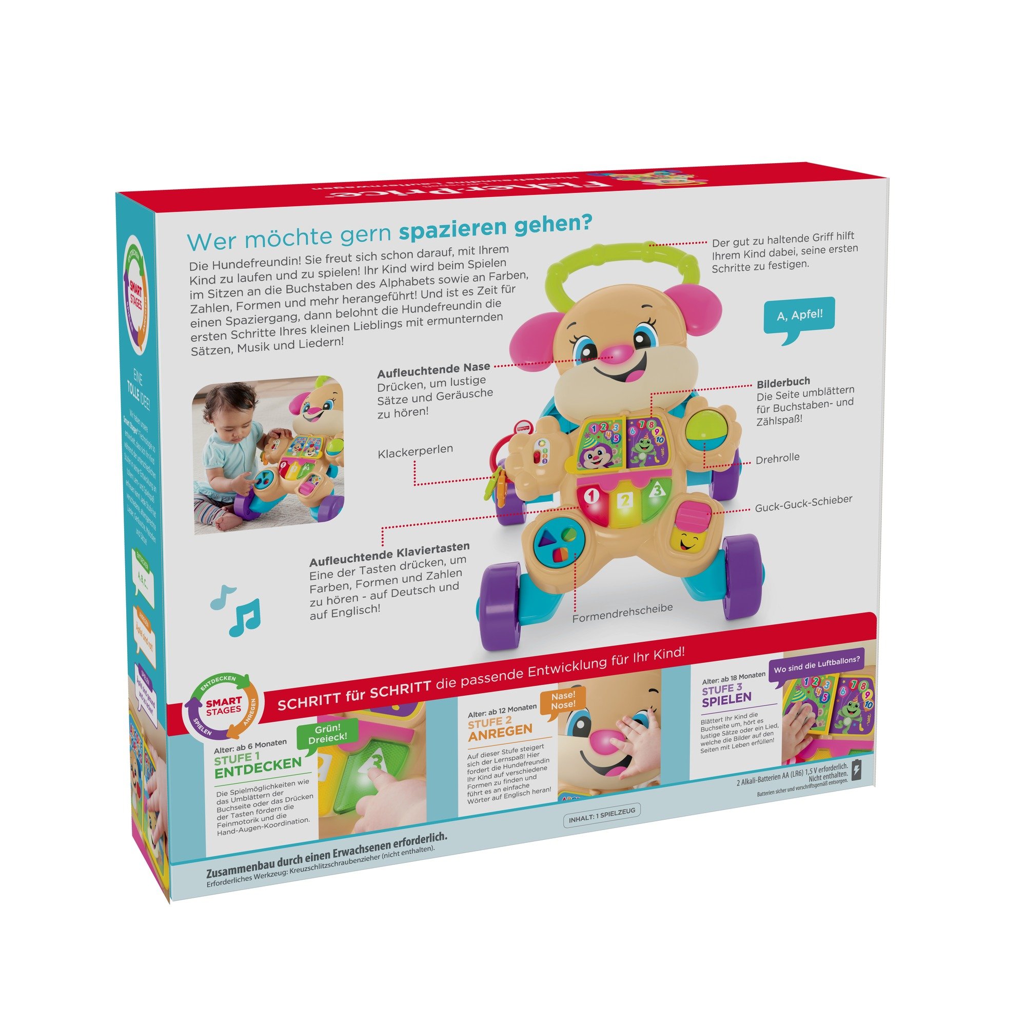 Fisher Price Fisher Price CGR43 Giocattolo educativo frd04 Amica Girello