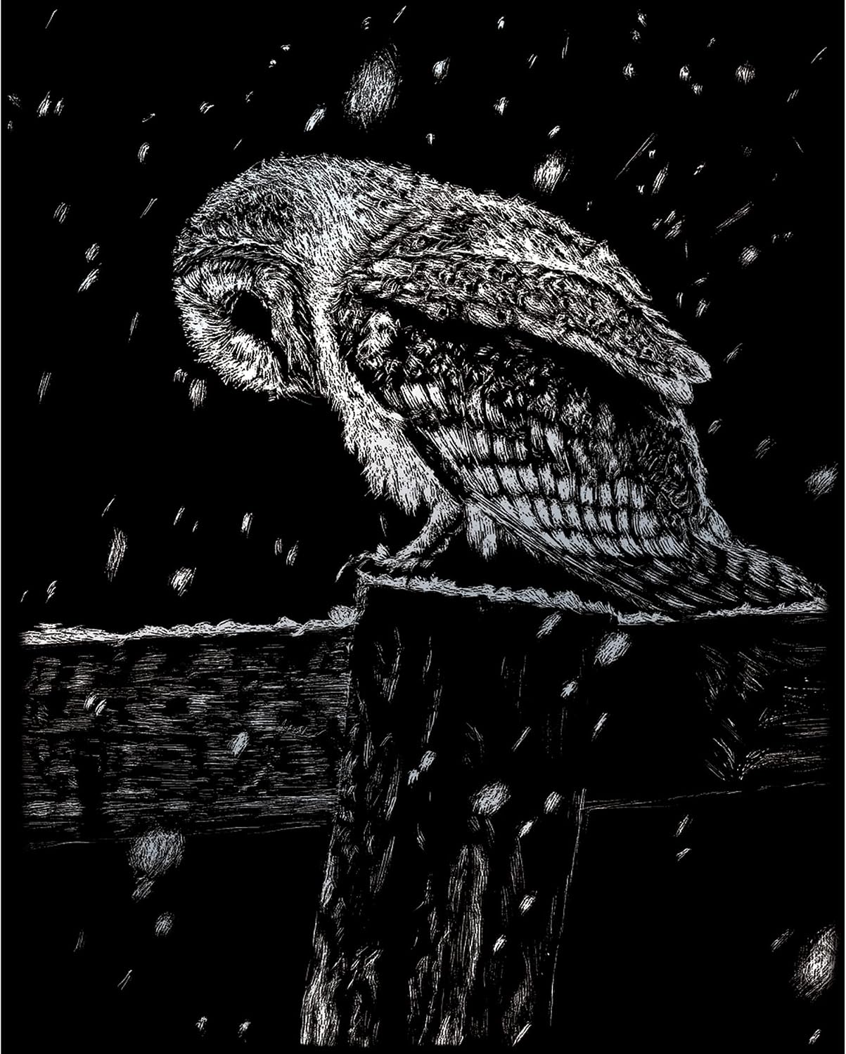 Pracht Creatives Hobby Royal & Langnickel Owl Scratching Picture, Silver, Scratch Pictures for Children and Adults, with Scratch Pen and Template