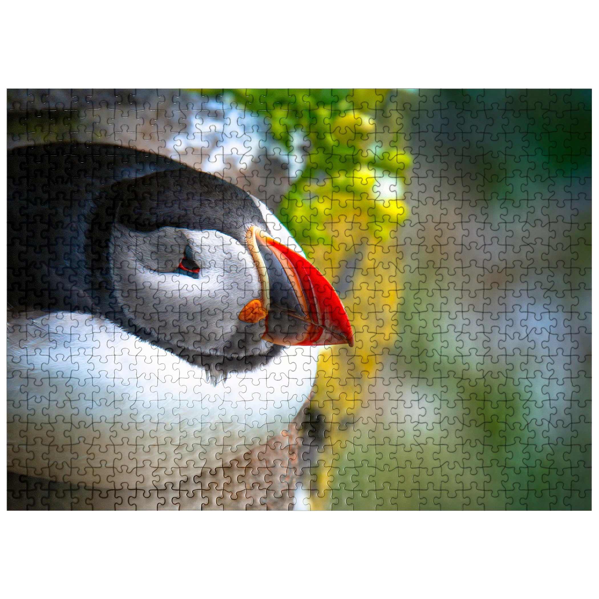 MyPuzzle Puffin On A Rock West Iceland Fjord - Premium 500 Piece Jigsaw Puzzle for Adults