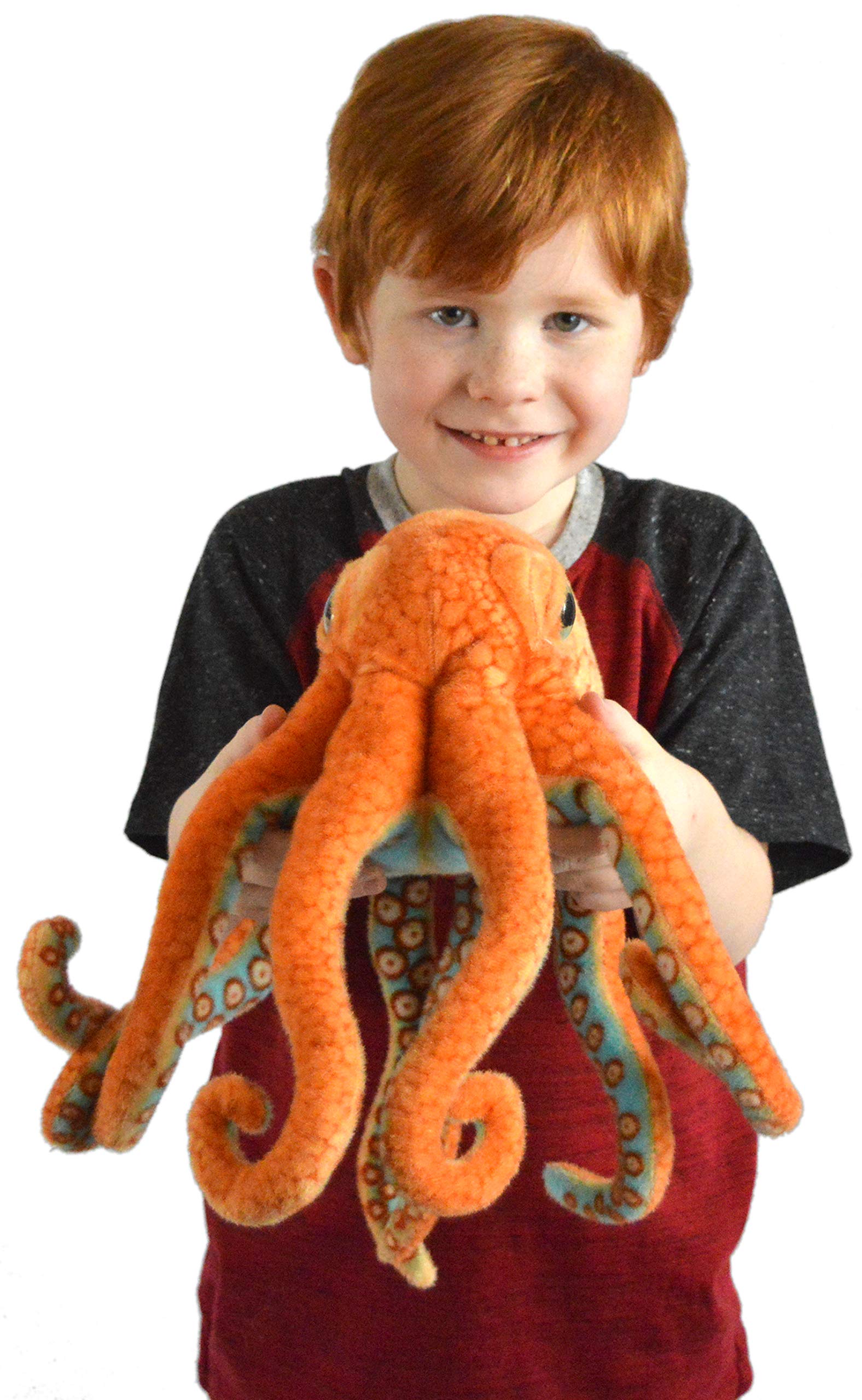 Buy Olympus The Octopus 18 Inch Stuffed Animal Plush by Tiger Tale
