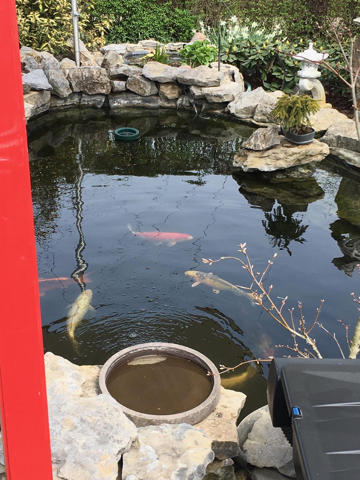 Cloverleaf Blanket Answer 2kg Amazon.de Garten