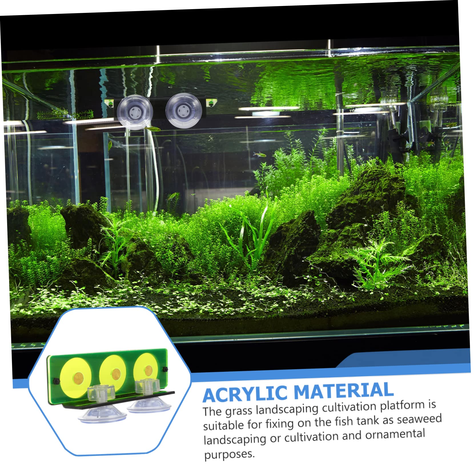 Mipcase 3stücke Acryl Korallen Rack Für Aquarium Korallen Unterstützung Praktisch Und Stabil Für Aquarienpflege Und Zucht