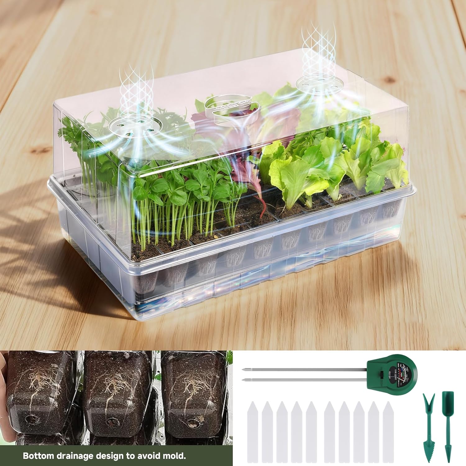 Adawook Self-Watering Seed Starter Tray, Seed Starter Kit Self Water, Germination Trays for Seed Starting with High Humidity Domes (Tray, 240 Cells)