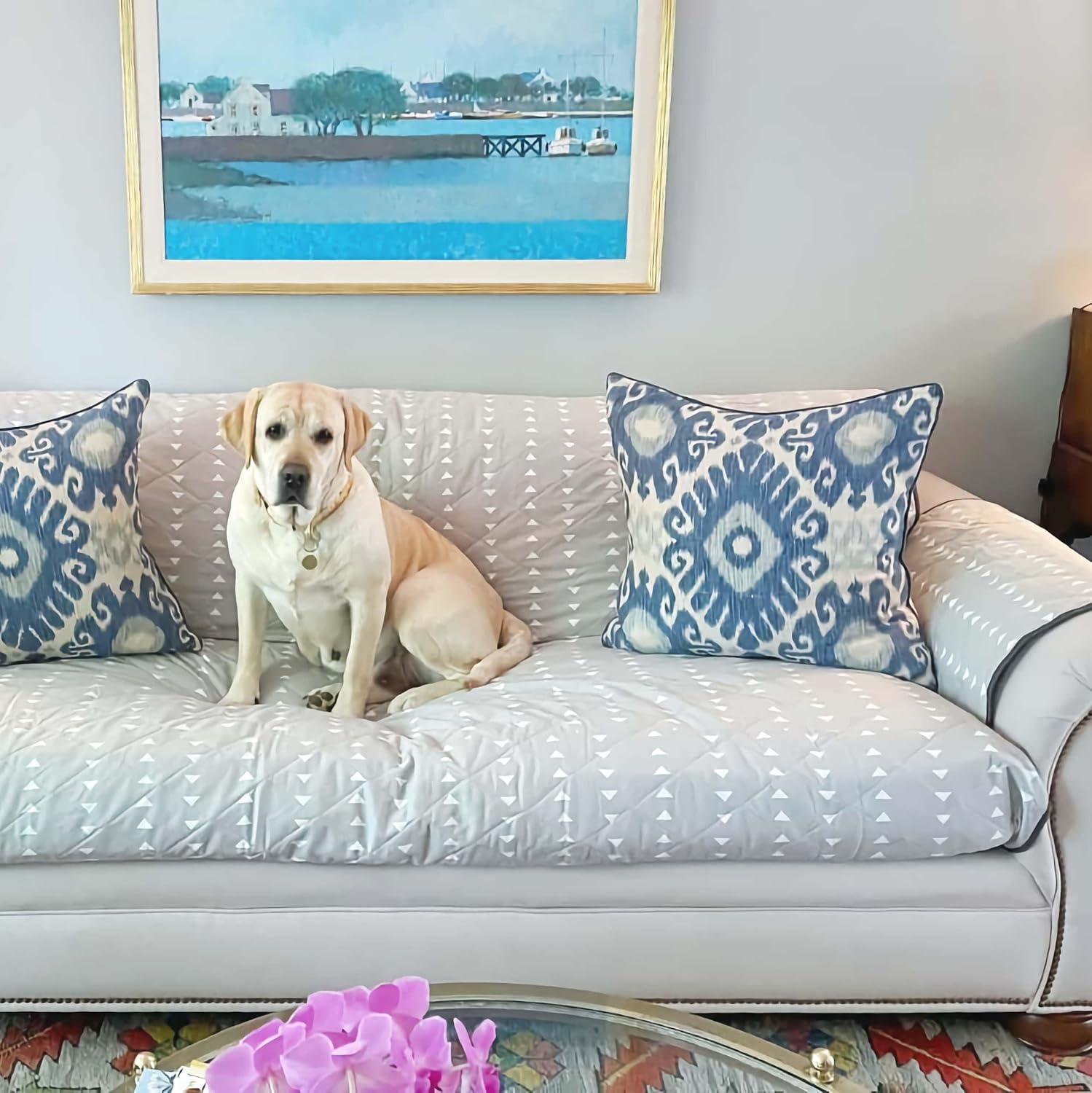 Molly Mutt 2-Seater Non-Slip Furniture Protector and Couch Cover for Dogs & Pets, GOTS-Certified 100% Organic Cotton Canvas Cover, Durable and Non-Toxic Materials, 55" Wide x 78" Long
