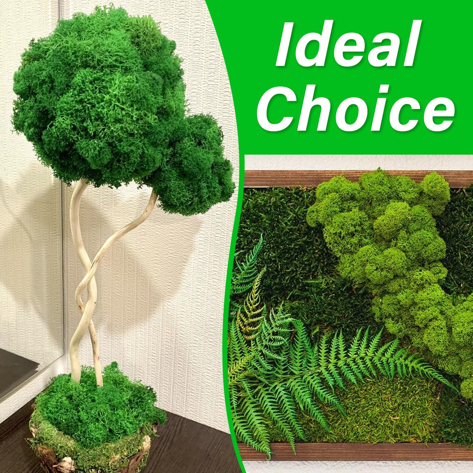 Muschio Finto Per Decorazioni - Verde Scuro, 100g, Per Presepi, Pareti E Modellismo - Foto 11