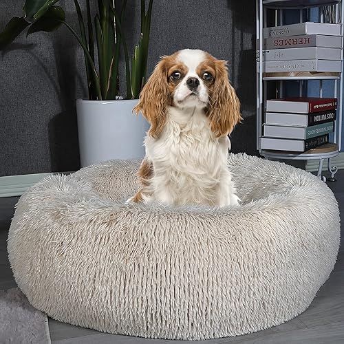 Miniatura 6 de Cama para perros pequeños, medianos y grandes, antiansiedad, lavable a máquina, cálida, acogedora, suave, cama redonda para mascotas, se adapta a