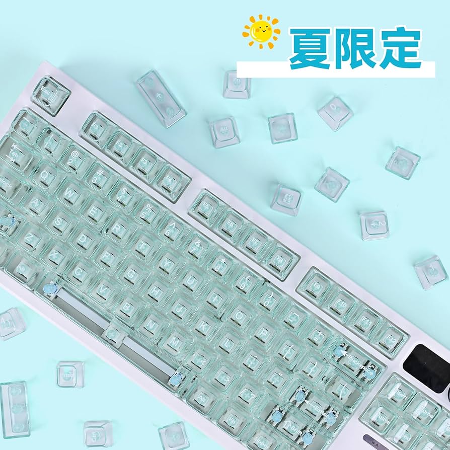 Amazon.co.jp: 「夏限定」キーキャップ 113キー ダブルショット OEM