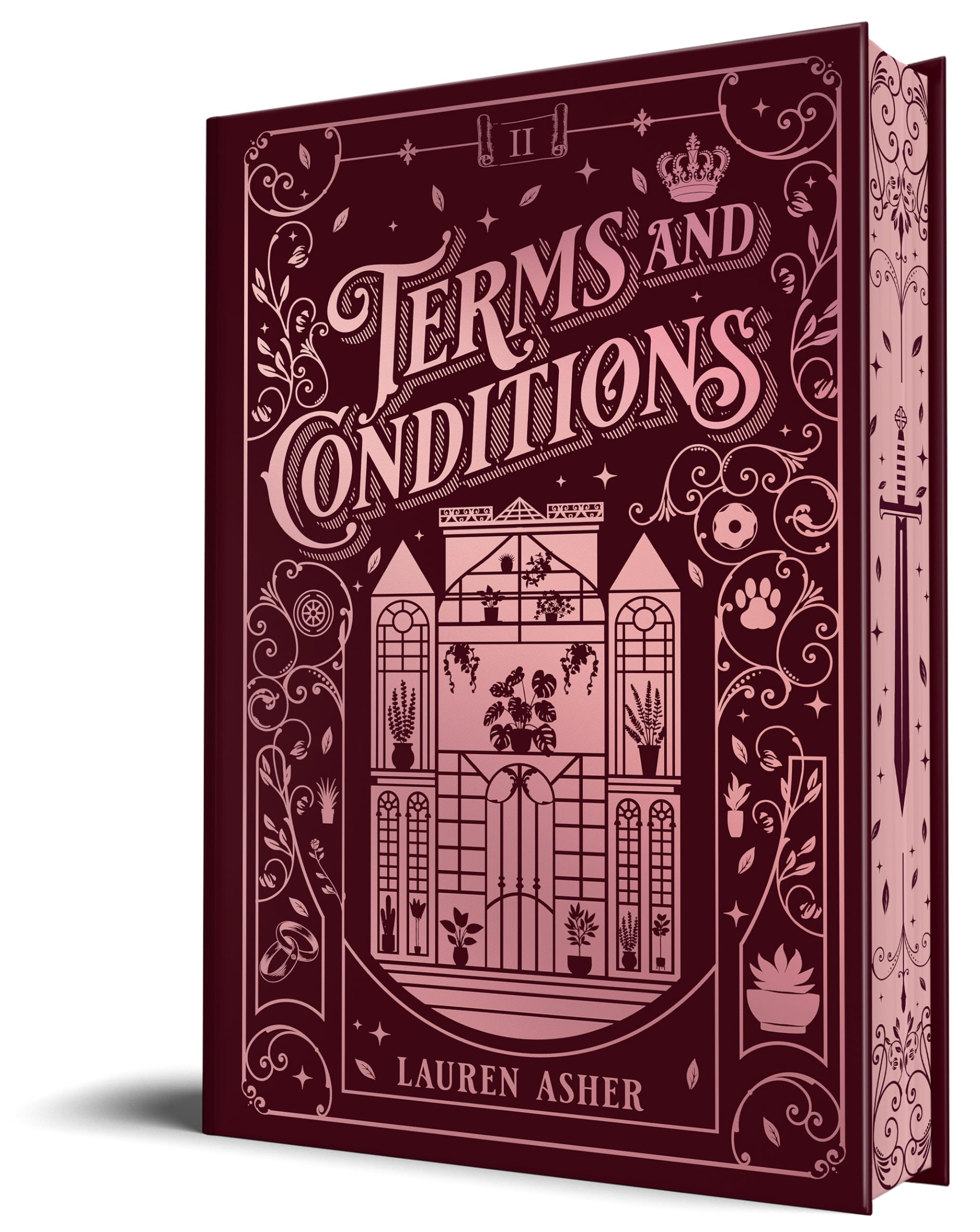 Terms & Conditions