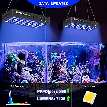 Lighting Master 240DC 3台セットJILL Lighting Master 240DC 3台セットJILL Lighting Master 240DC 3