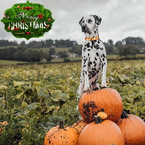 Miniatura 4 de Collar navideño de nailon ajustable con estampado de monstruo de gato pequeño, collar de cachorro de Pascua con hebilla de liberación rápida para