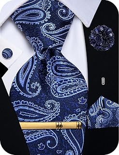 Silk Tie for Men Paisley Necktie Pocket Square Cufflinks Tie Clip Lapel Pin Brooch Set Wedding Business Party