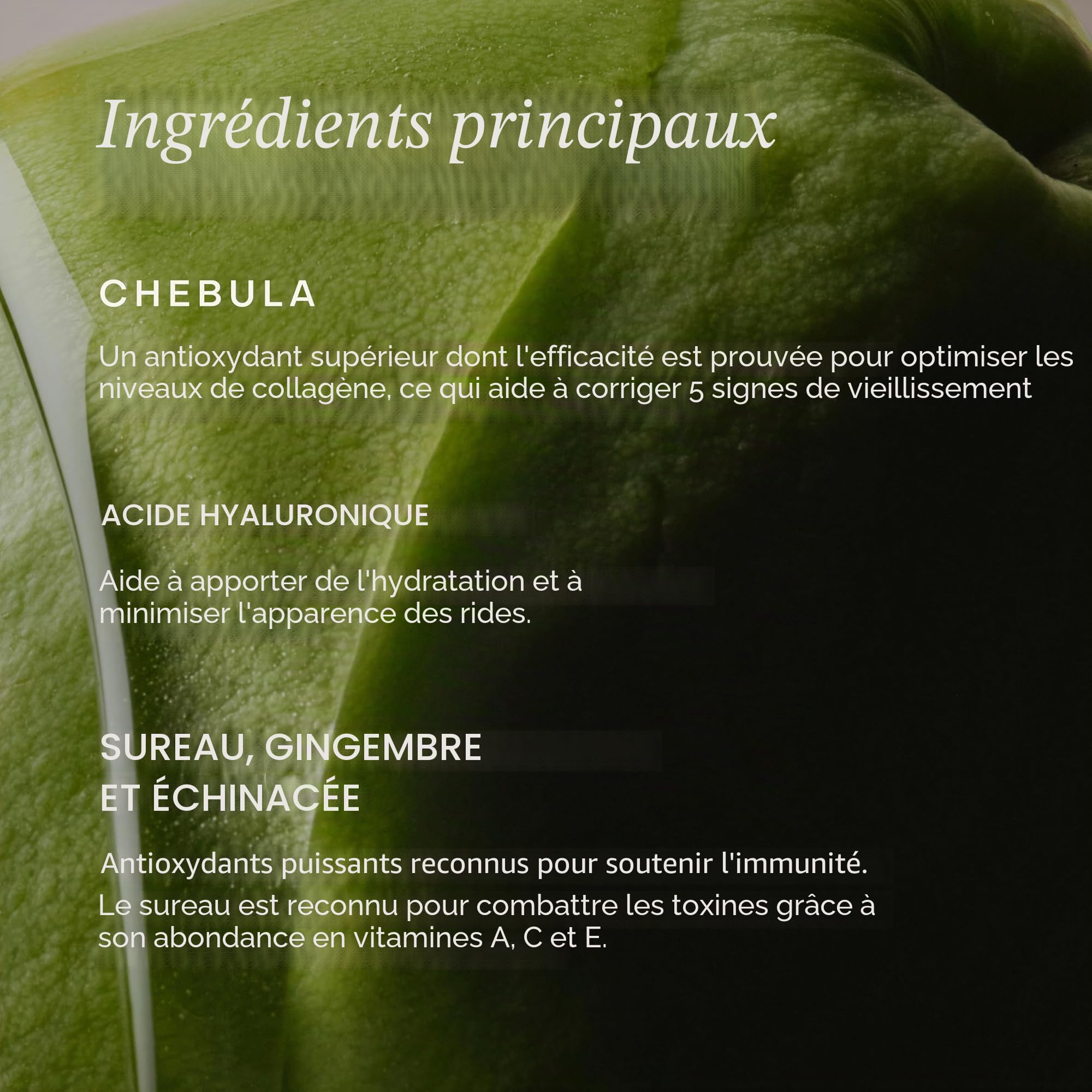 True Botanicals - Sérum naturel Chebula Active | Soin de la peau propre, non toxique et naturel (30 ml)