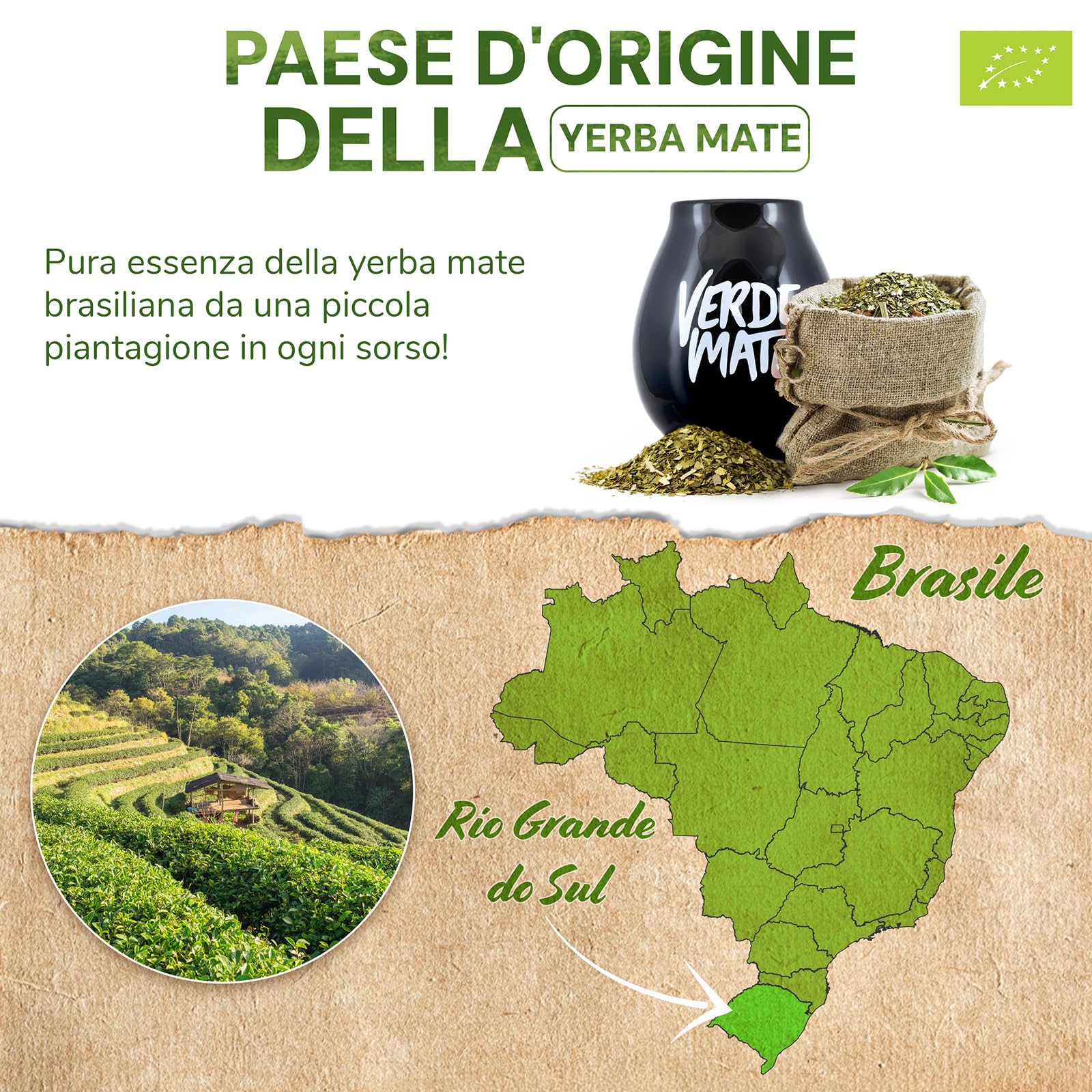 Verde Mate Green Orgánica Energia Guarana 500 g | Yerba Mate con Guaranà Biologico | Infuso Brasiliano Ricco di Gusto | Altissima Qualità Naturale