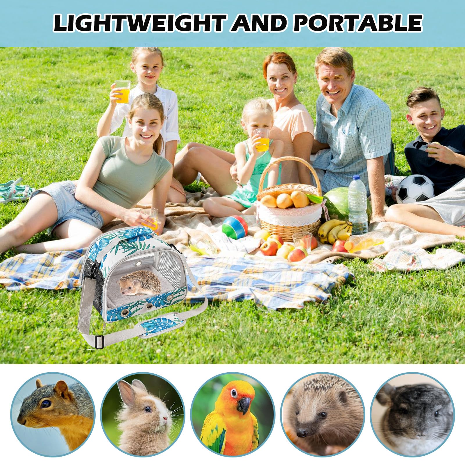 Petit sac de transport pour animal de compagnie avec coussin, sac de transport pour petit animal, boîte de transport pour chat avec ouverture latérale, sac de transport pour cochon d'Inde, boîte de