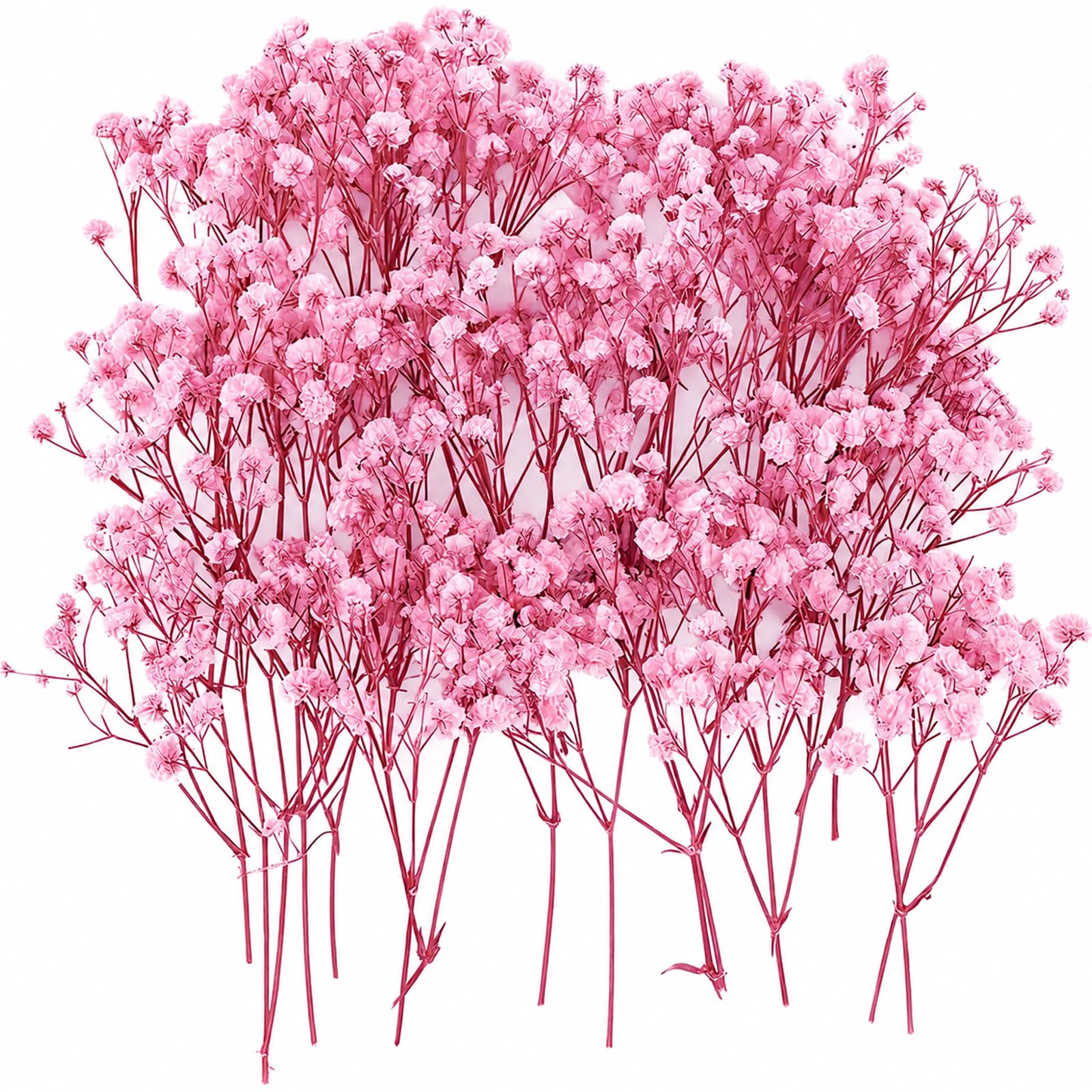 Mini Dried Gypsophila Flowers for Crafts, Light Pink, 100-Piece Bundle