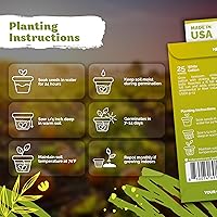 Vista 3 de KVITER 25 semillas de algodón blanco para plantar (Gossypium hirsutum) – Planta de algodón real, semillas de algodón para cultivo, semillas