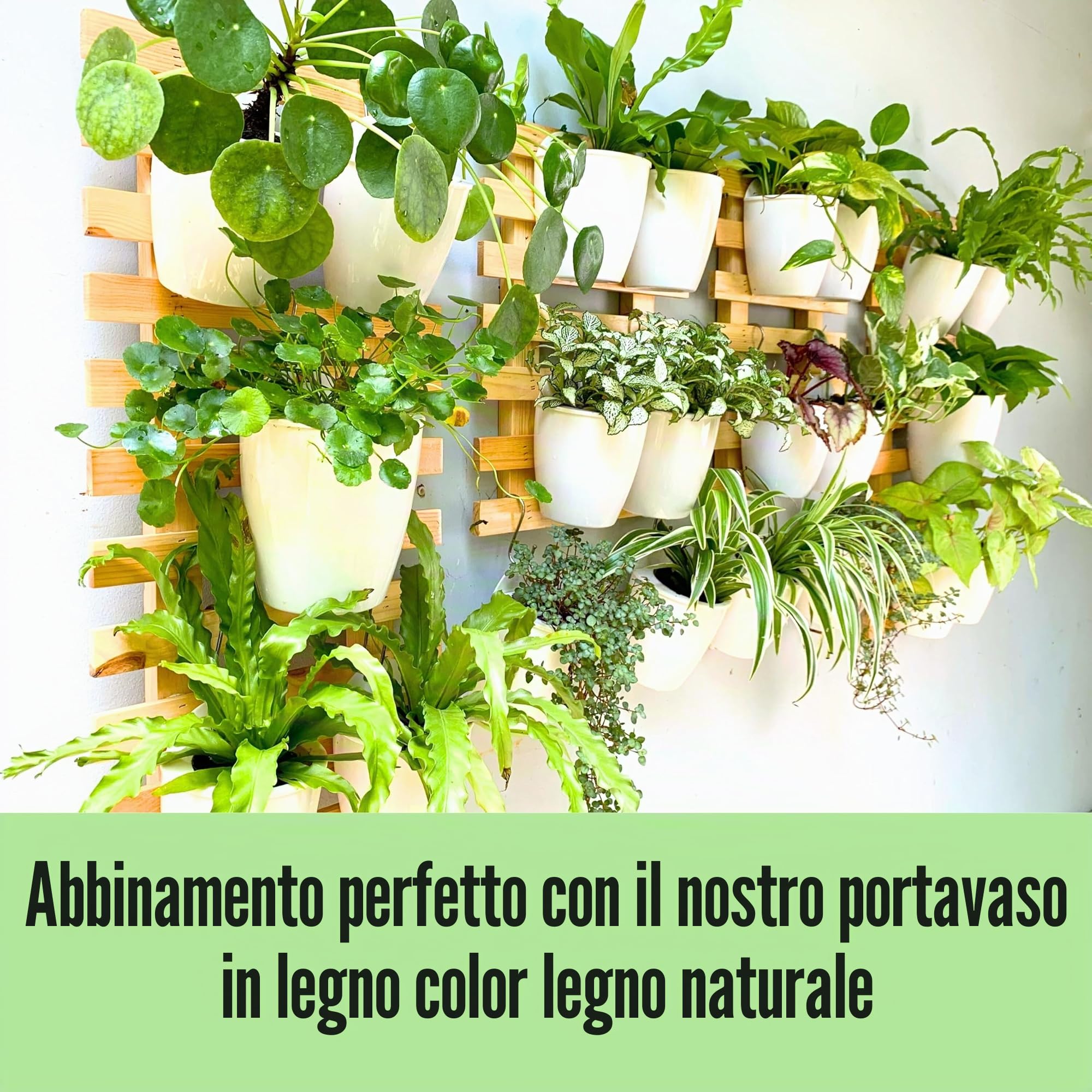 LáLáGreen - Fioriere da parete per piante da interno, confezione da 10, vaso in plastica autoirrigante da 12,7 cm, sistema di fioriere da parete, alla moda, per erbe aromatiche, bianco