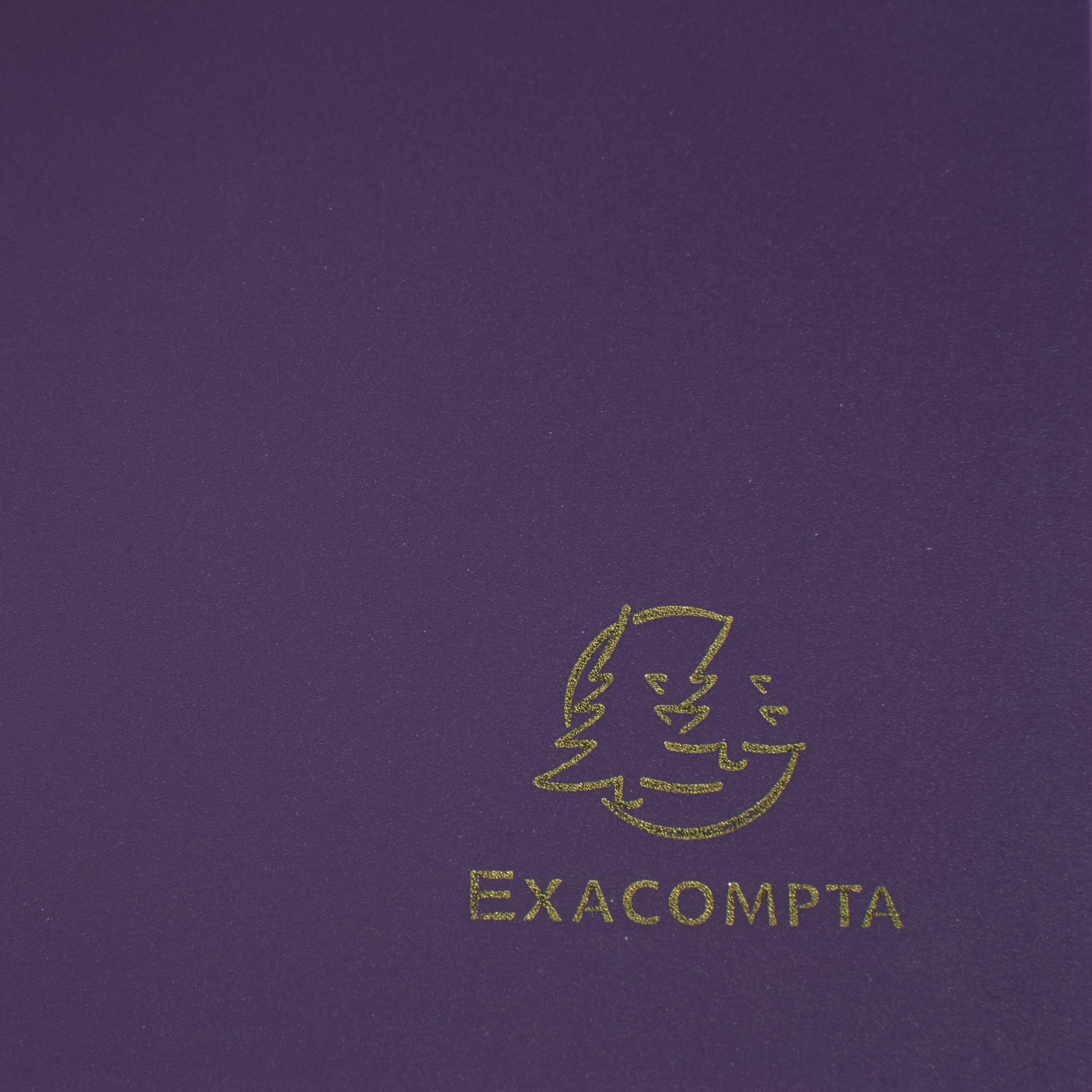 Exacompta 30 carpetas con gomas económica 3 solapas violeta
