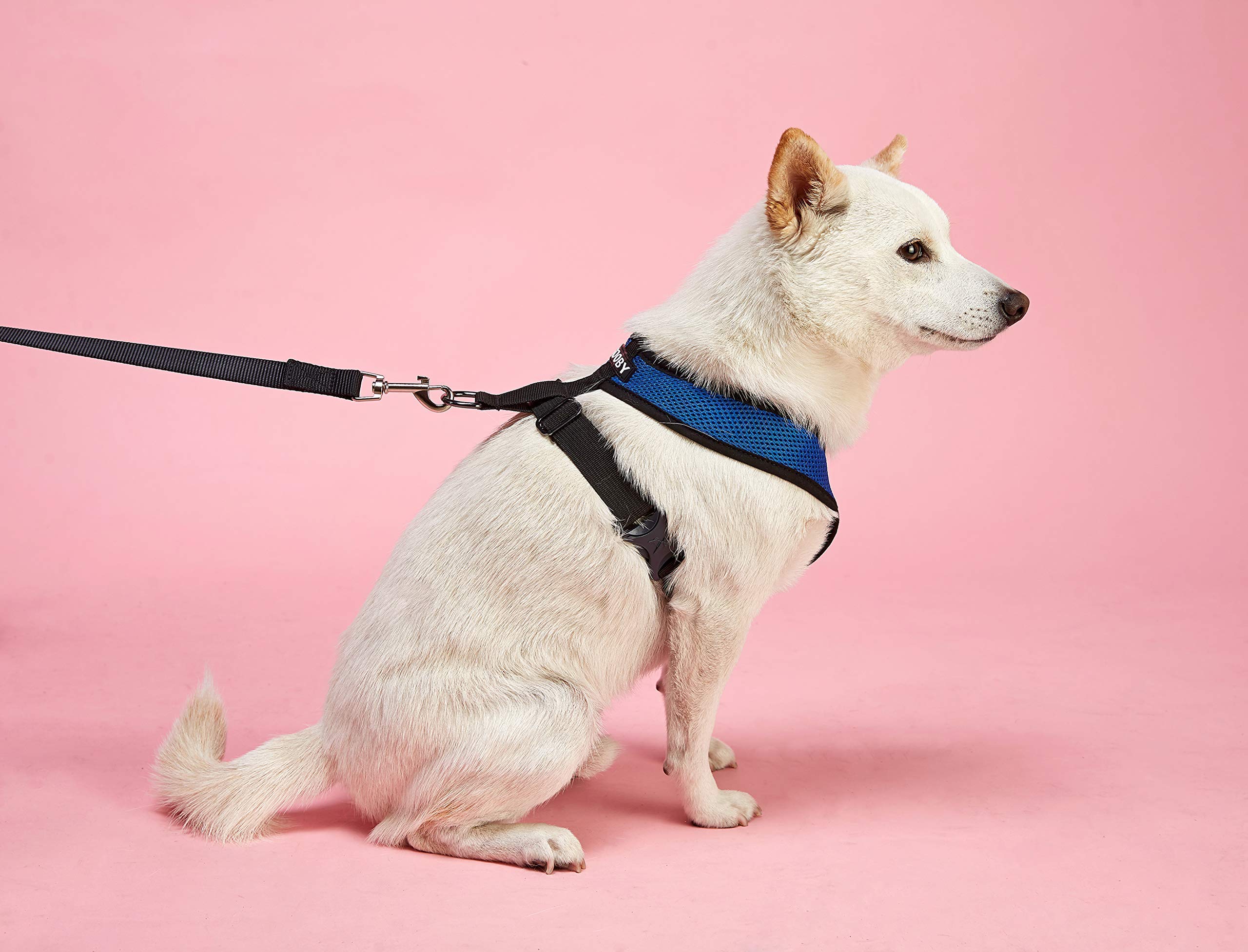 gooby choke free freedom harness