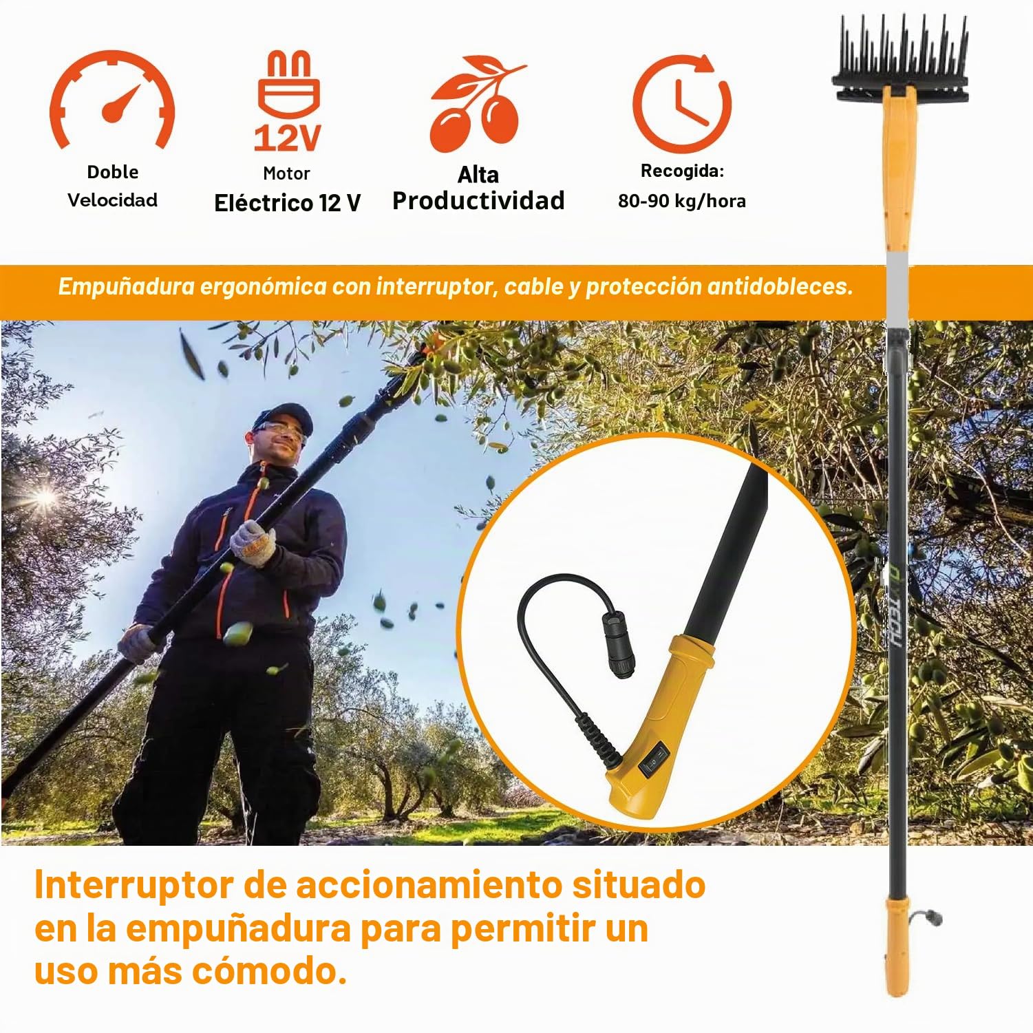 Crisalide® - Olytech Dualcomb 13 - Vareador recogedor de aceitunas con batería - Negro
