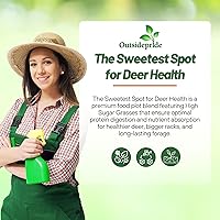 Vista 4 de Outsidepride Southern Sweet Spot Seed - Semillas anuales, versátiles, de rápido crecimiento y tolerantes a la sequía, semillas de parcela