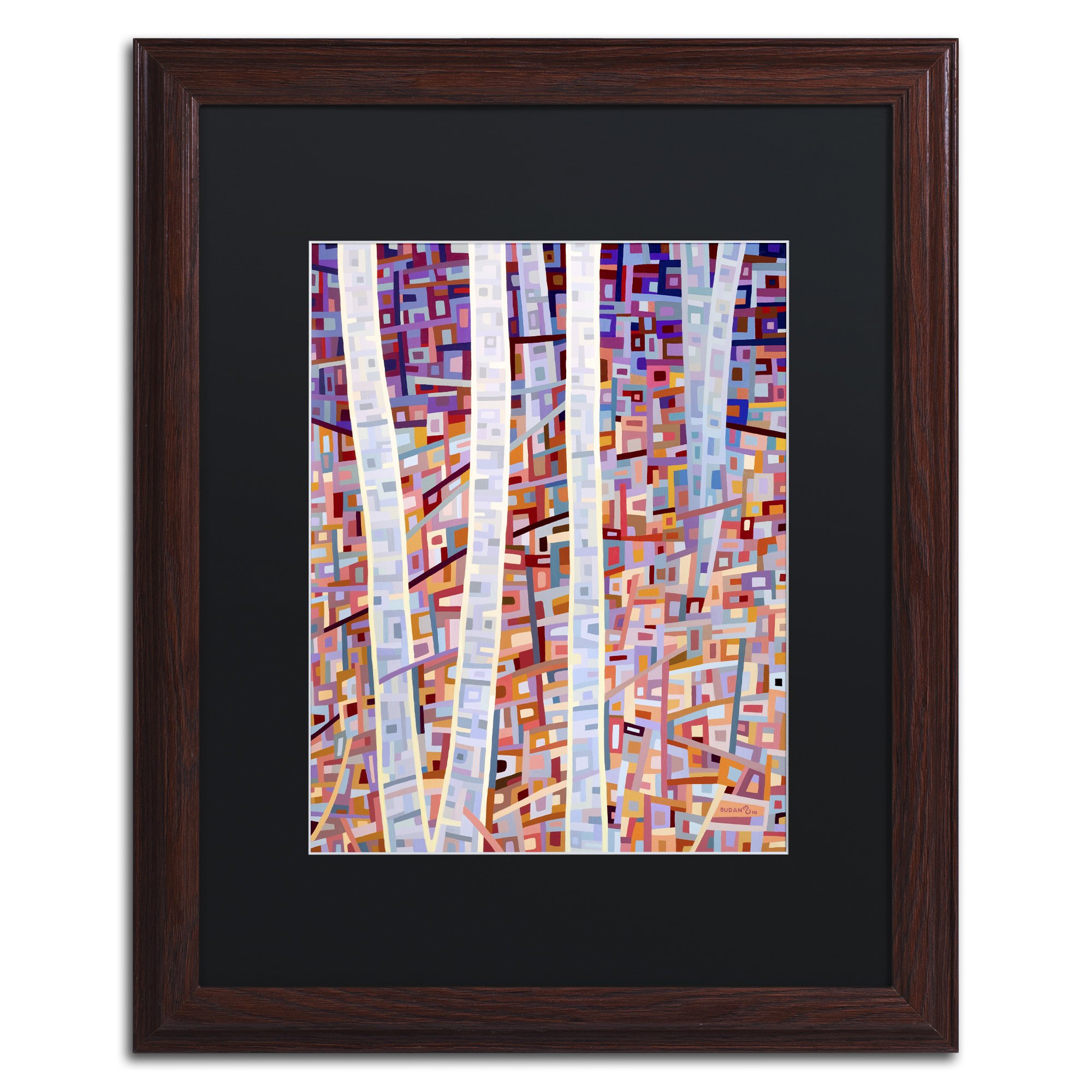 Incandescence by Mandy Budan Wood Frame, 16" x 20", Black Matte