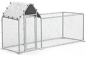 Walk-in Chicken Coop Large: Spacious Haven for 6-10 Chickens