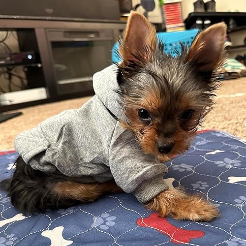 Miniatura 54 de Jecikelon - Sudadera con capucha y bolsillos, cálida para invierno, para perros pequeños, ropa de abrigo para chihuahuas, disfraz para cachorros