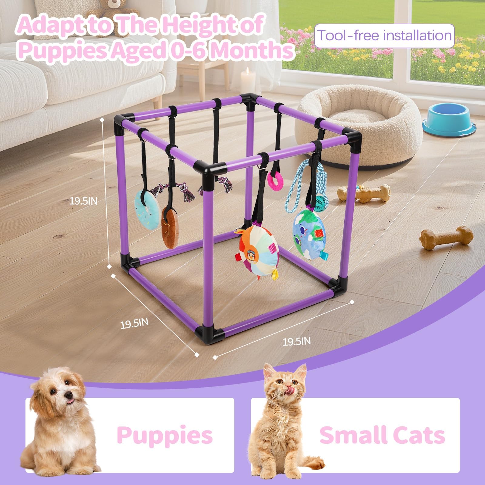 Liitrton Gimnasio de Juego para Cachorros – Gimnasio de Juego para Perros pequeños con 8 Juguetes Colgantes, Gimnasio Interior de la Selva con Juguetes interactivos de enriquecimiento para Perros | Marco de PVC de 19.5 x 19.5 x 19.5 pulgadas, gimnasio int