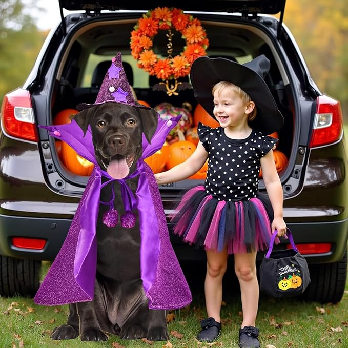 Disfraz de Mago para Perro Halloween Capa y Sombrero de Bruja 2 Piezas Talla M miniatura 6
