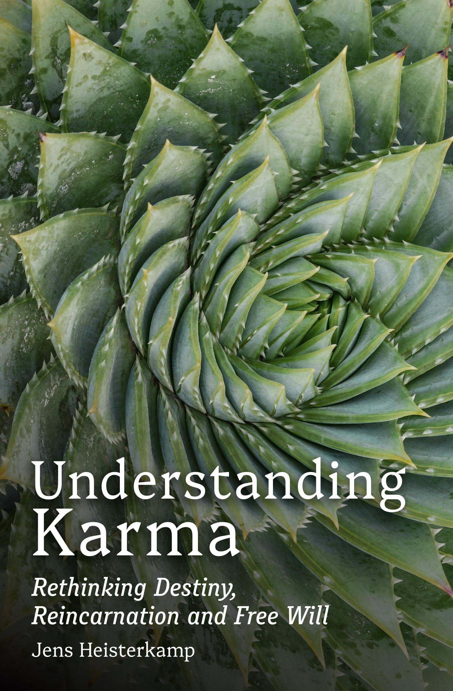 Understanding Karma: Rethinking Destiny, Reincarnation and Free Will