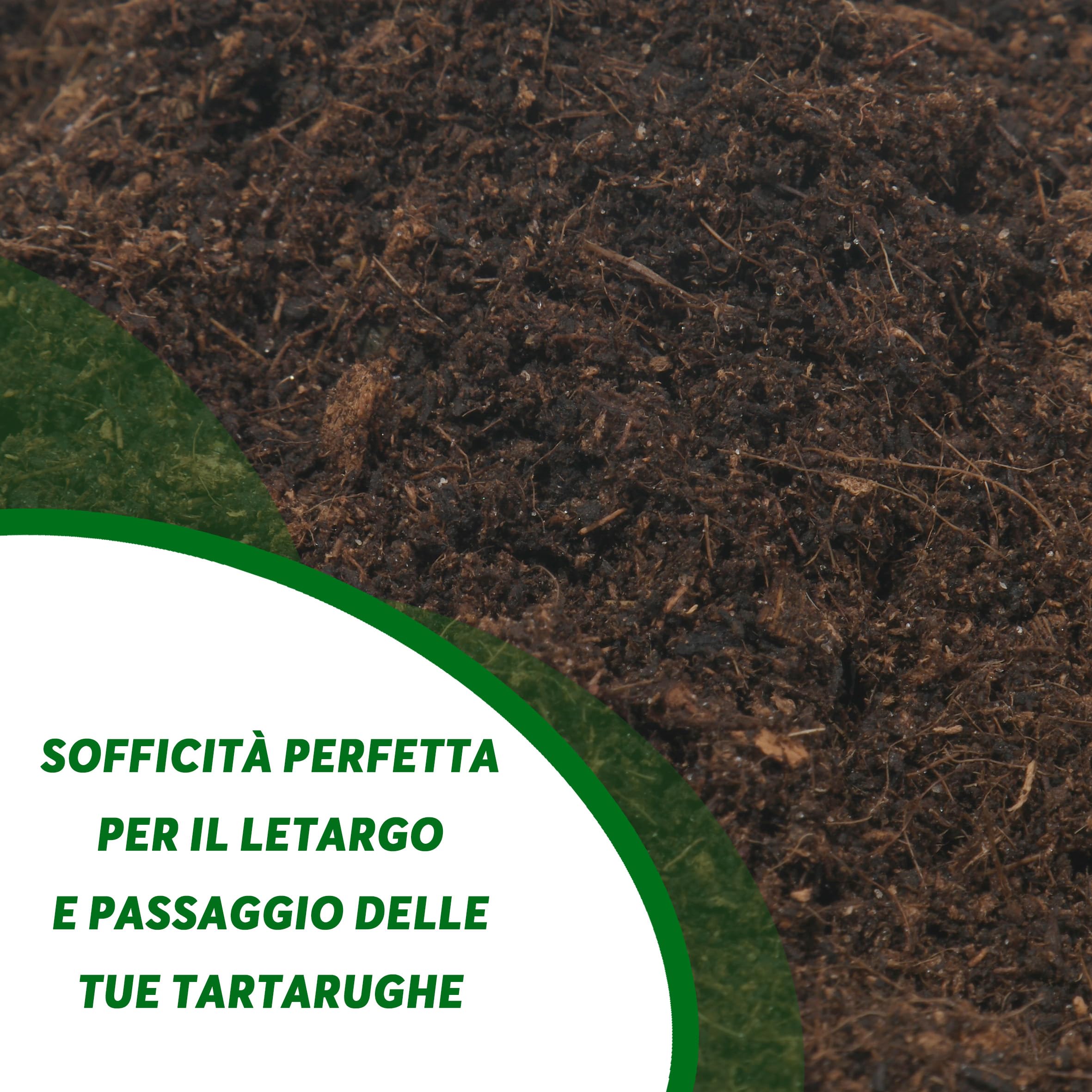 ZOMA Terrario per Tartarughe di Terra - Ambiente Ideale per la Tua Tartaruga - 20L