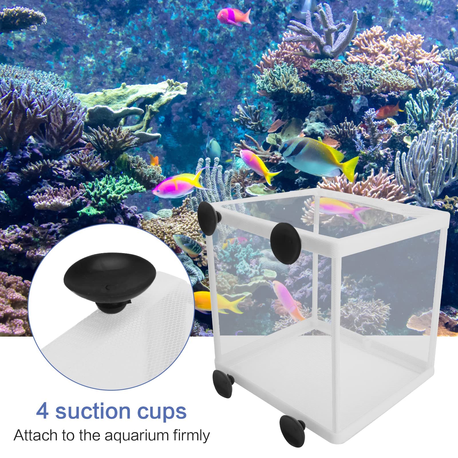 2 scatole per l'allevamento di pesci per acquario, scatola di isolamento per acquario, frittura, vivaio, con 8 ventose per proteggere i pesci del bambino per acquario, bianco, 16 x 14 x 16 cm