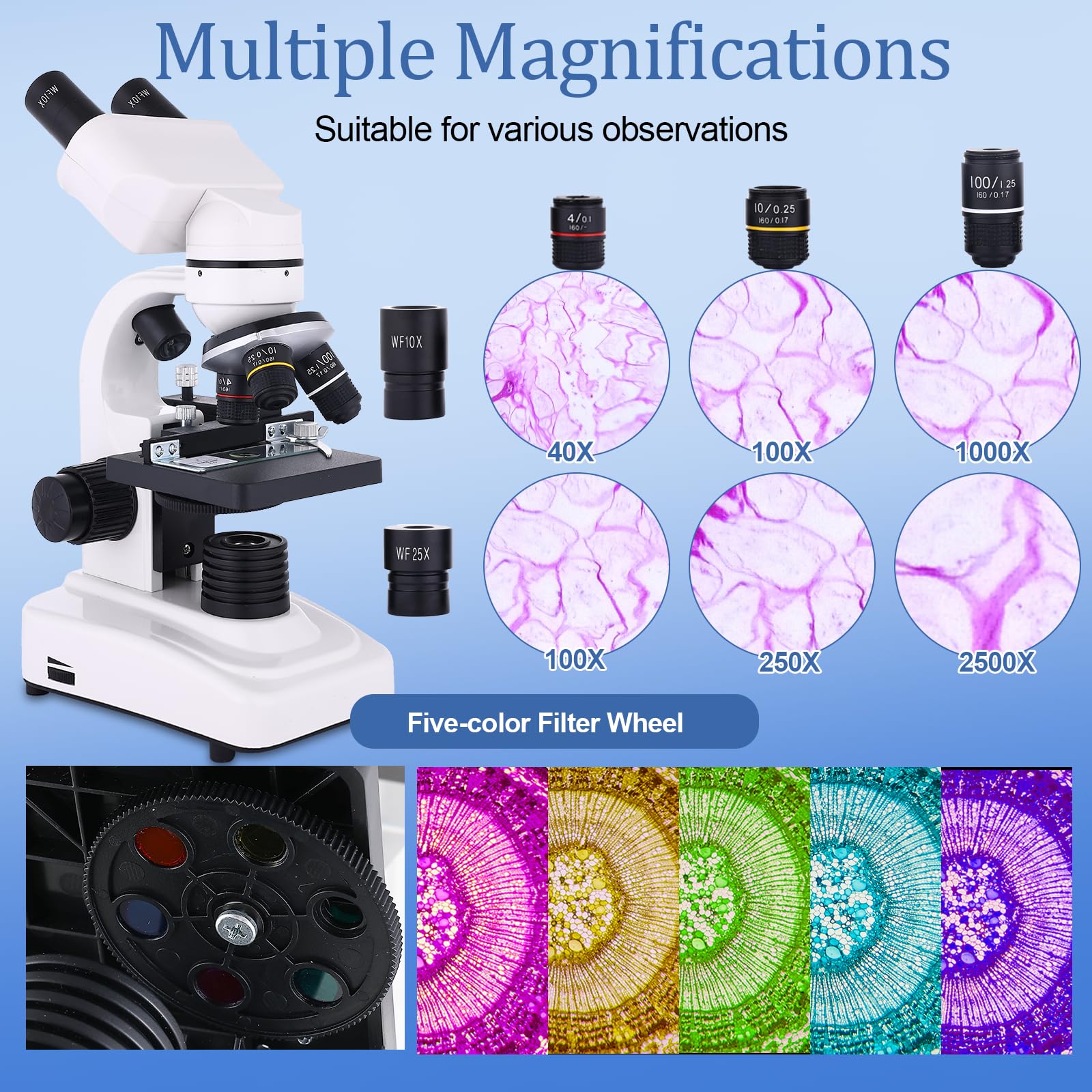 Microscopio para adultos y niños, microscopio binocular 40-2500X para laboratorio escolar y escuela en casa, con etapas mecánicas, juego de diapositivas y soporte para teléfono