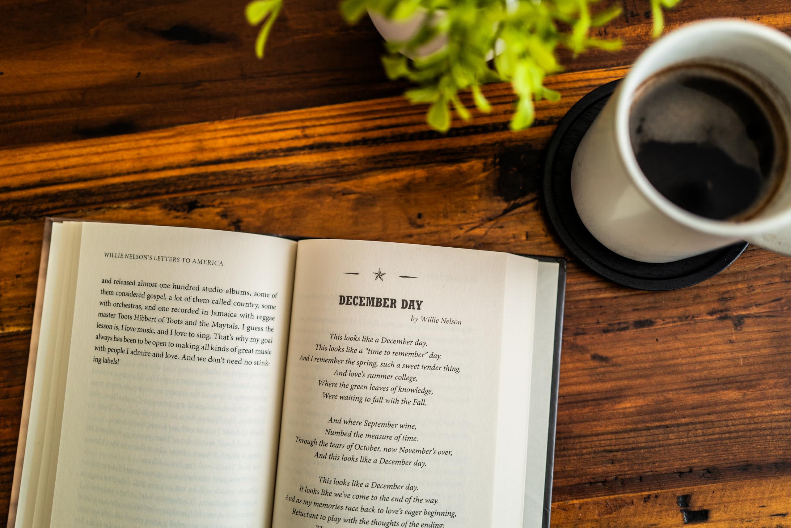 Willie Nelson's Letters to America - Image 3