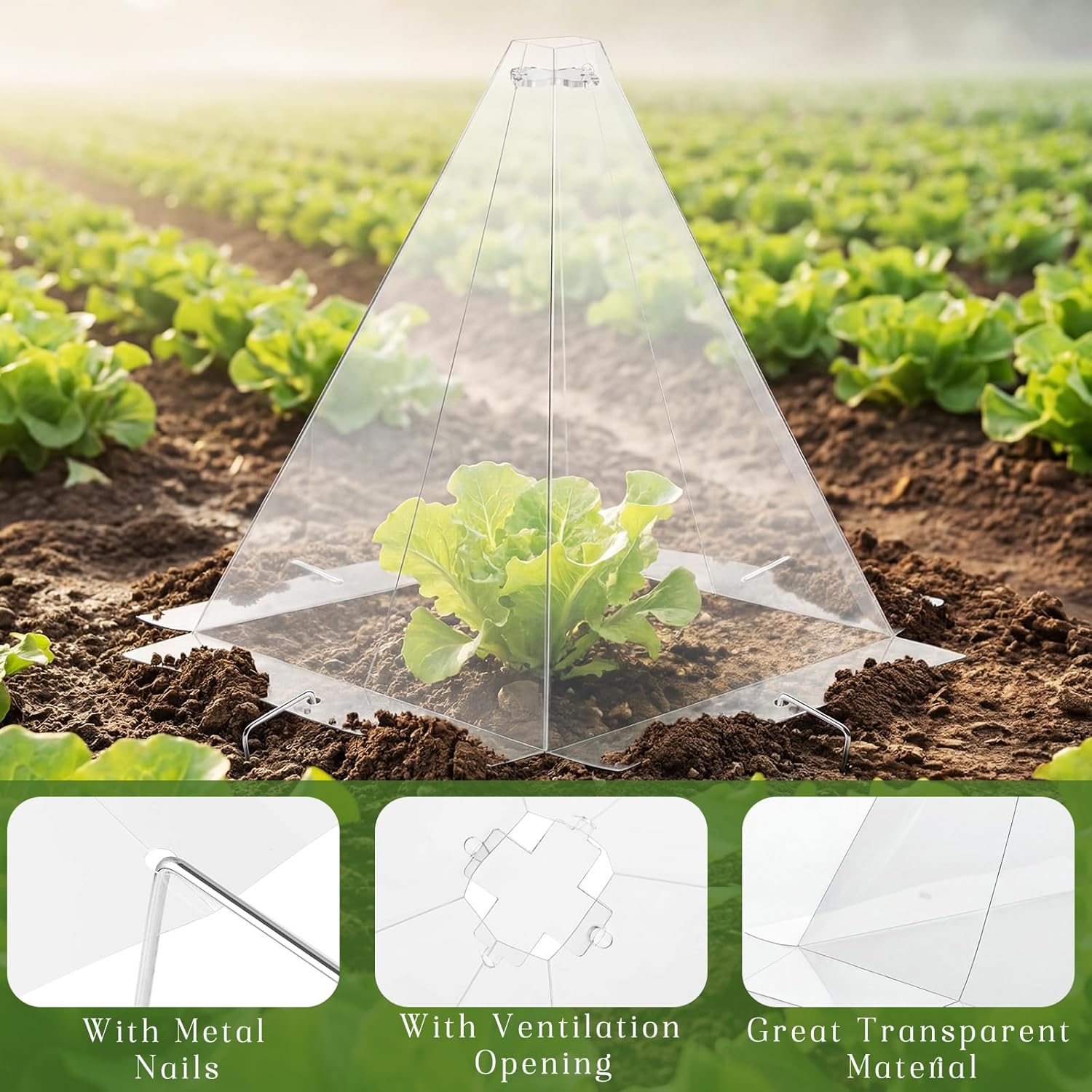 50 Pack Garden Cloches for Plants, Clear Plastic Plant Cloche Covers with 100 Stakes, Reusable Frost Protection Dome for Seedlings, Protect from Snails, Birds, Animals, 7.8" x 11"