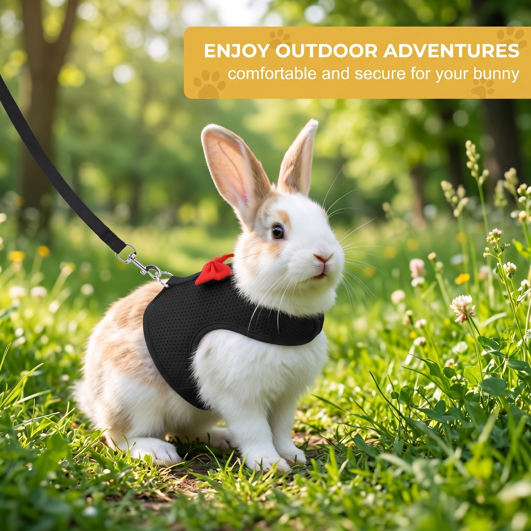 Harnais Lapin avec Laisse Réglable et Respirant - Accessoires pour Lapin Nain et Petits Animaux, Confortable et Sécurisé pour Promenade, Noir, Taille S
