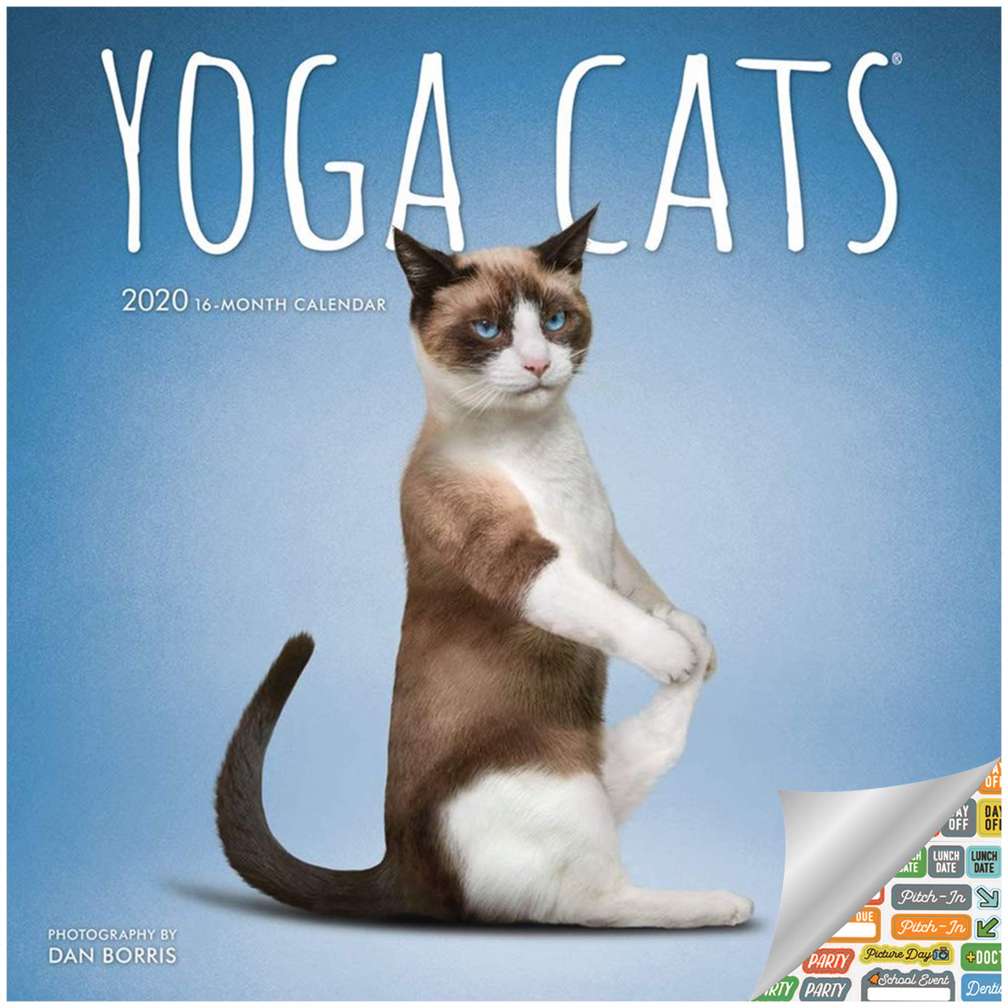 Yoga Cats Calendar 2020 Set - Deluxe 2020 Yoga Cats Wall Calendar with Over 100 Calendar Stickers (Yoga Cats Gifts, Office Supplies)