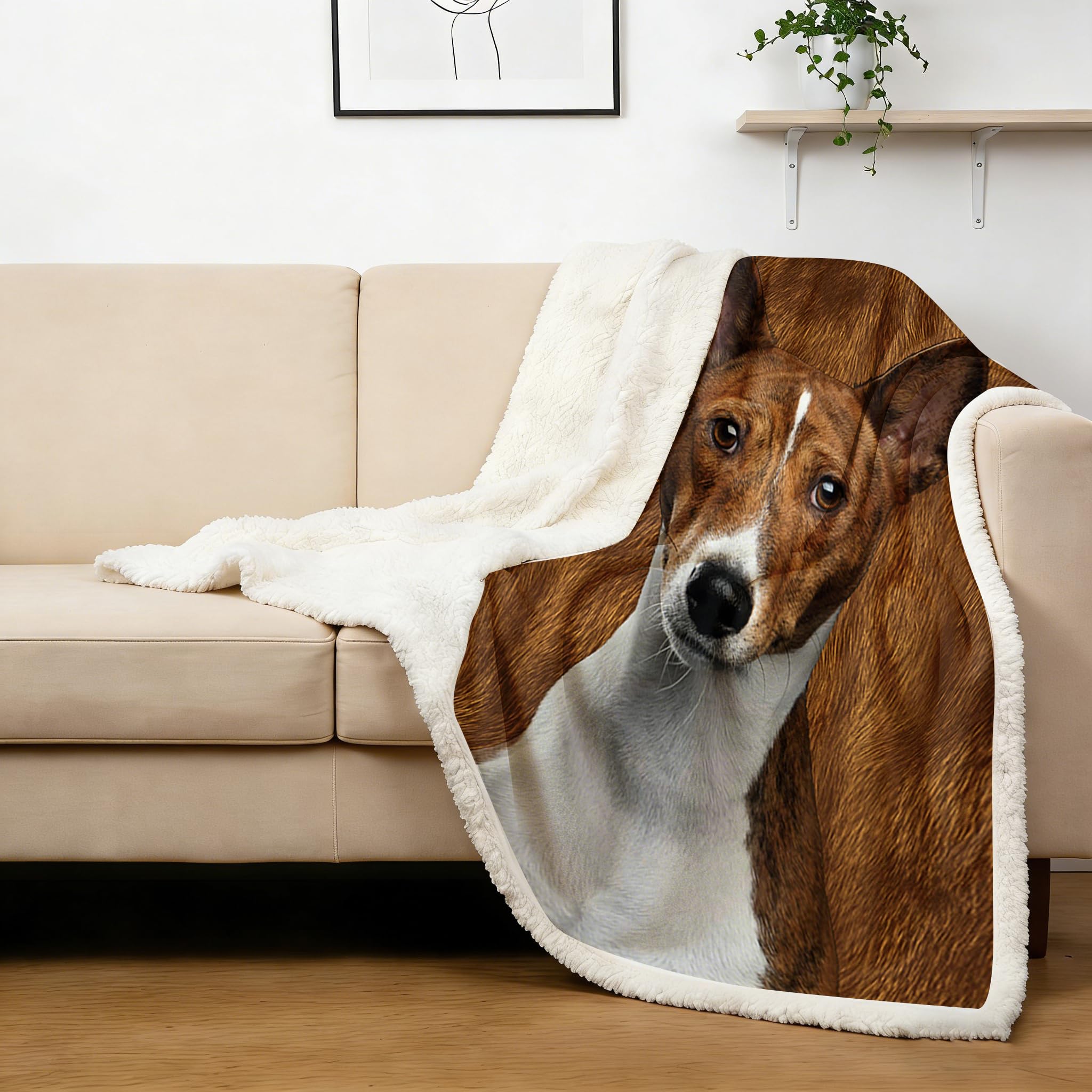 BlessLiving Basenji Throw Soft Blanket Sherpa Fleece Lined Blanket Pet and Dog Lovers Home Throw Blankets (Throw, 50 x 60 Inches)