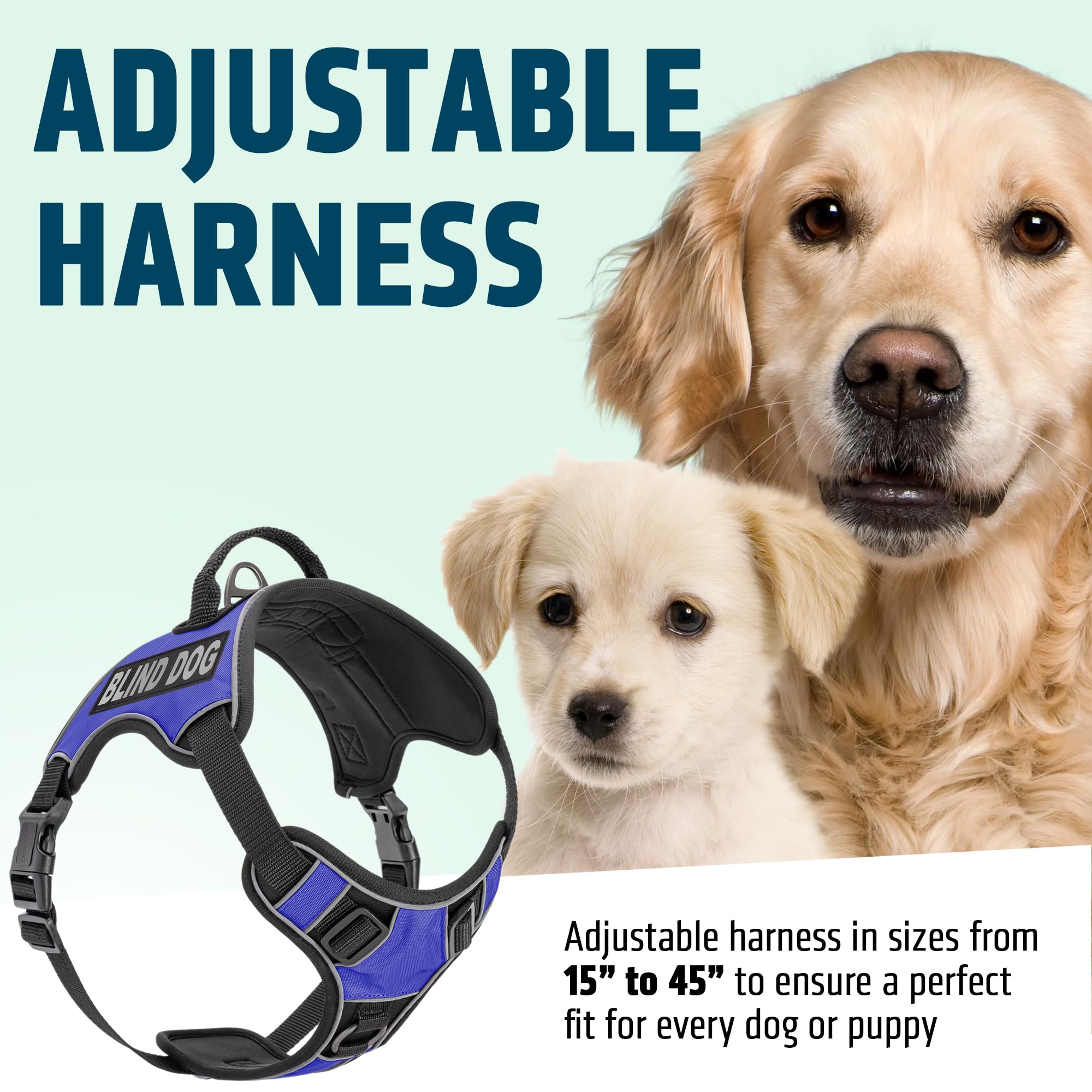 Dogline Quest - Pettorina per cani anti-tiro, con cerotti riflettenti e rimovibili, riflettenti, morbida, confortevole, con doppia fibbia, con ferramenta nera e manico da 32 a 101,6 cm, blu