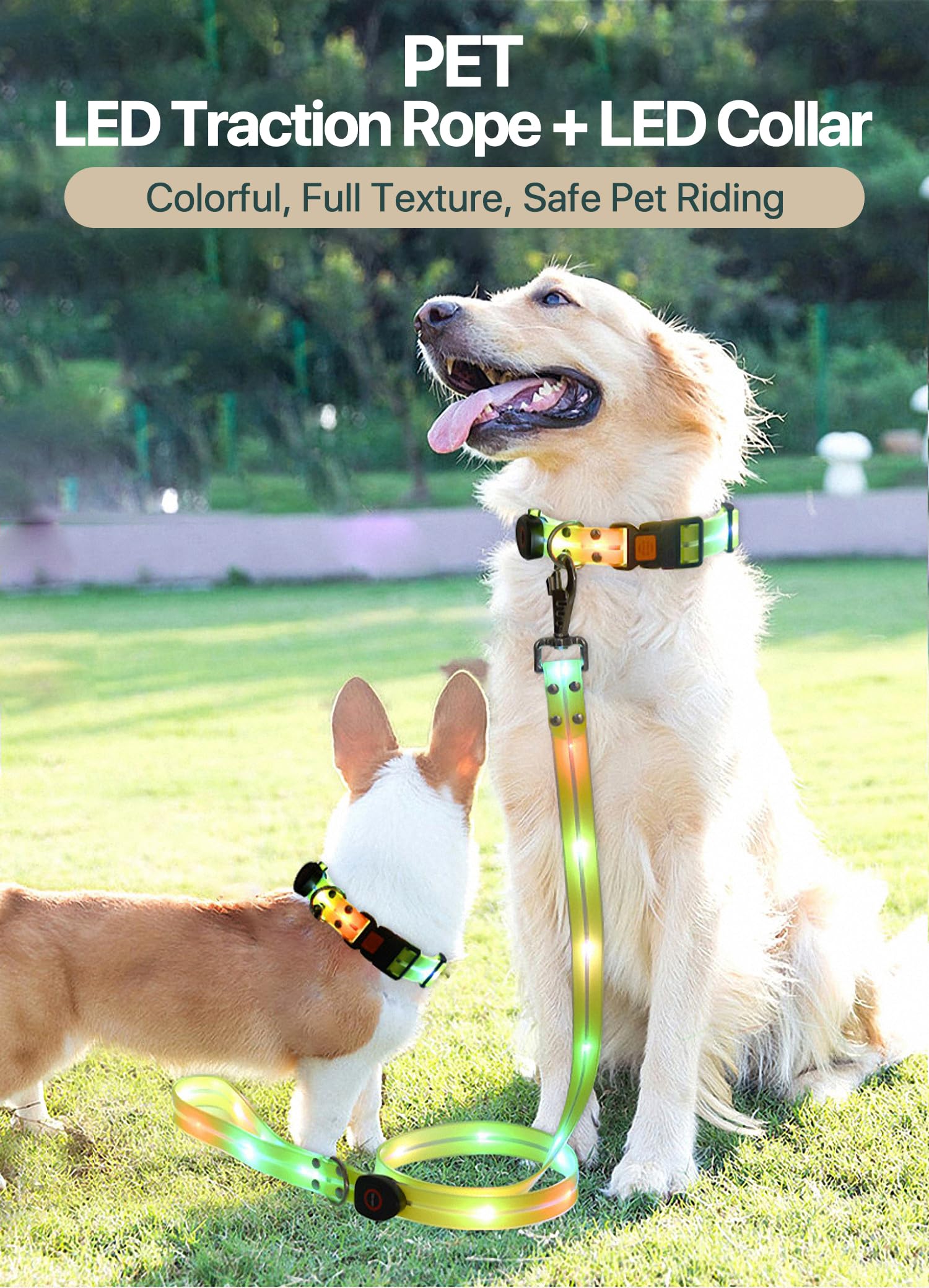 LED-Hundeleine und LED-Hundehalsband, wiederaufladbare Hundeleine und Hundehalsband (für kleine, mittelgroße Hunde), leuchtende Hundeleine, wiederaufladbar, 122 cm, beleuchtete Hundeleine für