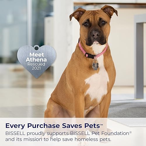 Vista 7 de BISSELL TurboClean Pet XL Upright Carpet Cleaner, Upholstery Tough Stain Tool & Formula included, 3746