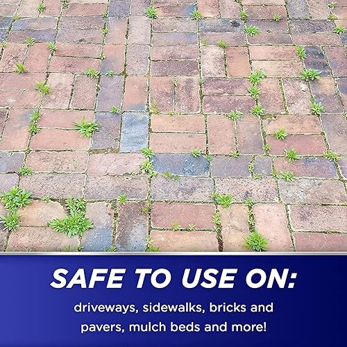 Miniatura 5 de Green Gobbler 20 vinagre herbicida y herbicida  Natural y orgánico  Concentrado  Spray de 1 galón  Herbicida sin glifosato