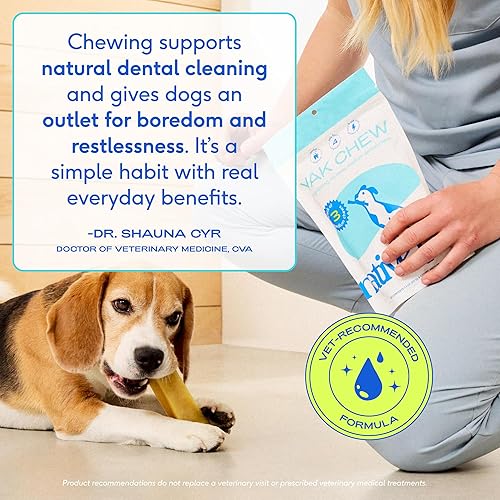 Miniatura 4 de Native Pet Yak Cheese Himalayan Dog Chews – Palitos dentales de larga duración para razas medianas – Masticables de yak del Himalaya 100% naturales