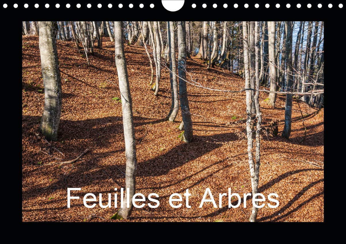Feuilles et Arbres (Calendrier mural 2021 DIN A4 horizontal): Captivé