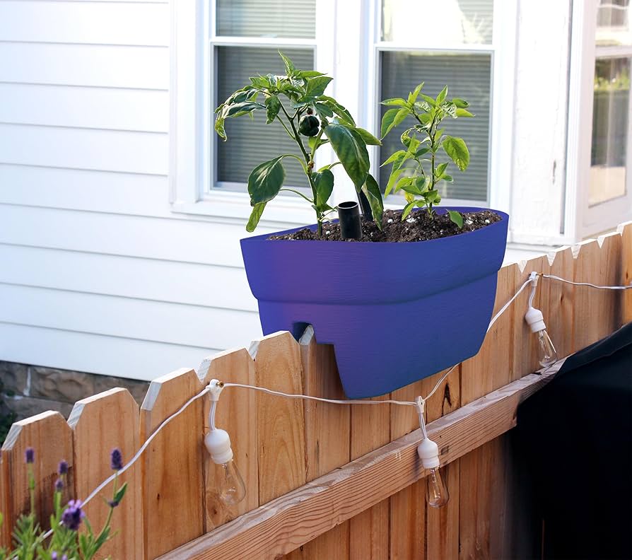 【Nor】。Ma Me Pa、 Pom Pom Rail、ブルーム Nor】。Ma Me Pa、 Pom Pom Rail、ブルーム Nor】。Ma Me Pa